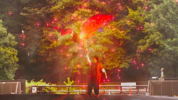 【Explosion】Kamen Rider OOO All Forms Commentary Collection: Shining Bonds Lost Phoenix