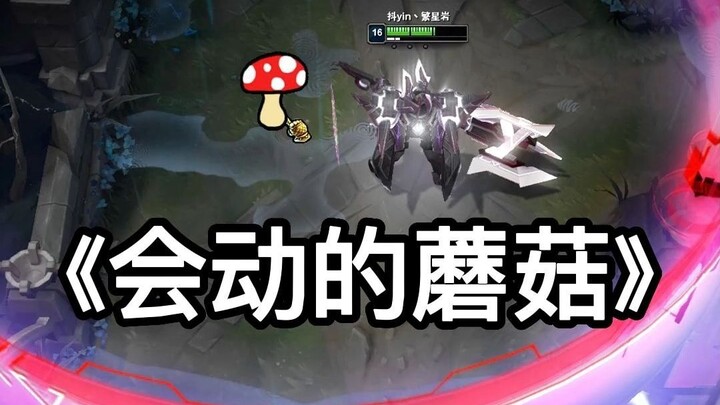 Con Ti Mo này bảo nấm của nó biết di chuyển, xem xong mình cứ ngẩn ra luôn!