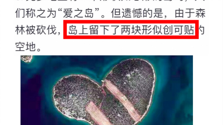 Funny Photos from Nature