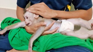 Dad Comfort Baby Sono To Sleep After Milk But He's Not Yet Sleepy