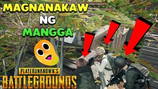 PUBG Philippines | Magnanakaw ng MANGGA