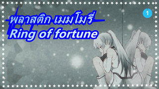 [พลาสติก เมมโมรี่] Ring of fortune (เอริ ซะซะกิ)_1