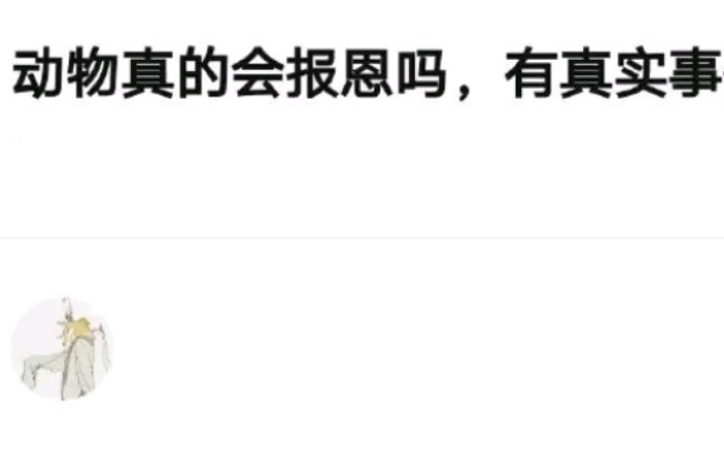 《我和动物的奇妙故事》