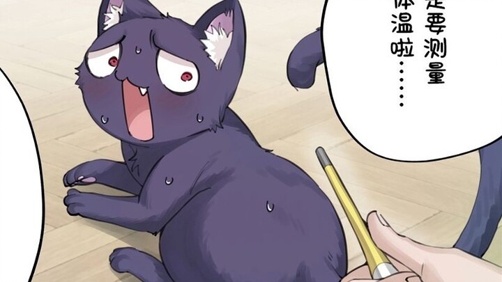 “Ha Cơ Mễ? Thiêu Cơ Mễ!”