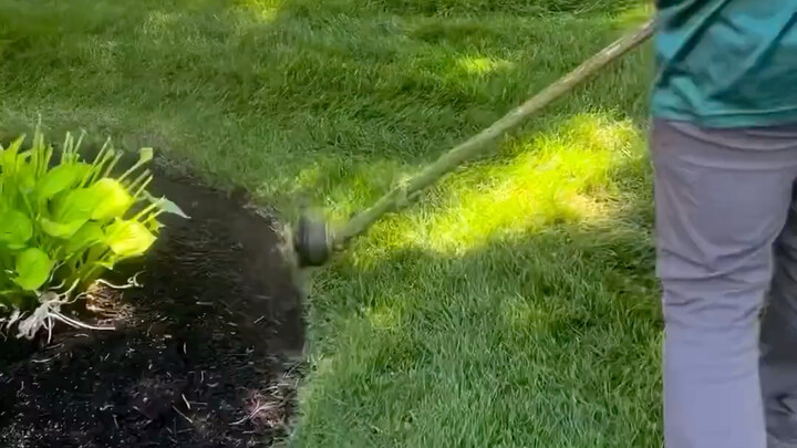 【Video Pelepas Stres Si Tomak】Telah memperbarui satu video, ayo buruan tonton!