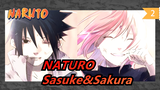 NATURO| Sưu tập về Sasuke&Sakura_B