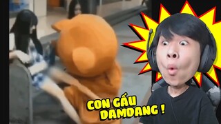 TTCC COMEBACK ... PHIÊN BẢN CHÚ GẤU DAMDANG !!! (Pobbrose TTCC) ✔