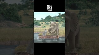 [Fly]Elephant and Rabbit's Great Friendship - Elephant and Rabbit's Seesaw Game