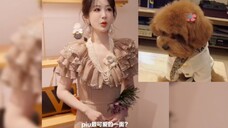 杨紫:“piupiu三折叠 每一面都可爱”欢迎大家来收看我们的国色芳华!