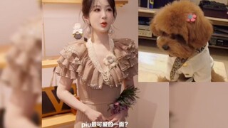 杨紫:“piupiu三折叠 每一面都可爱”欢迎大家来收看我们的国色芳华！