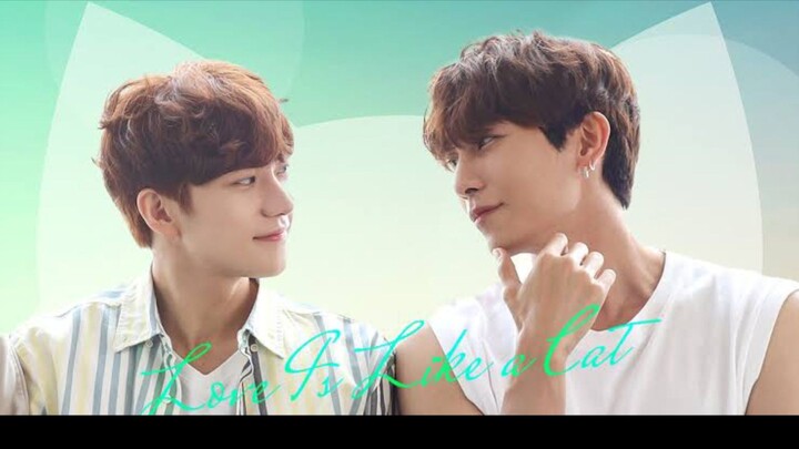 รักนี้ หมาหรือแมว EP.3
