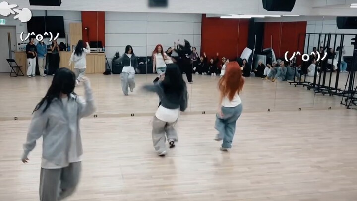 Algorhythm练习室不会不出了吧？团队氛围真好~