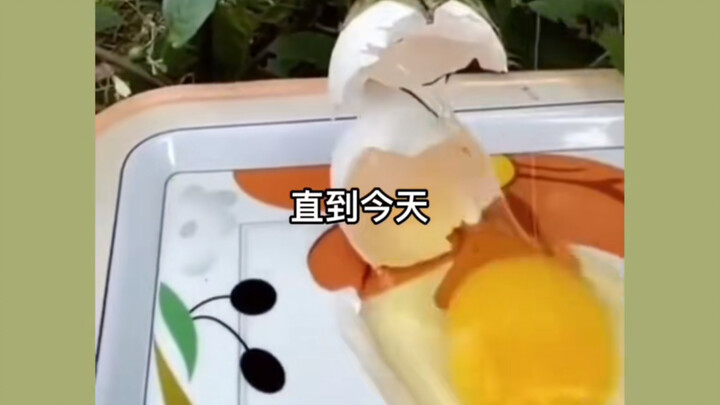 Mana yang lebih dulu, ayam atau telur? Akhirnya saya mengerti juga