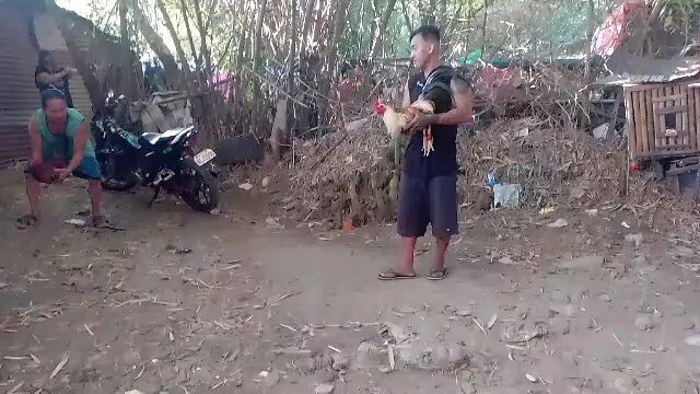 winning Super Grey😎🔥