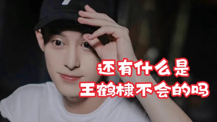[Didi] is actually a truly amazing species—can do absolutely everything! [Wang Hedi]