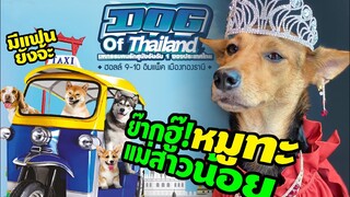 หมูทะ" เฉิดฉายบนพรมแดง งานอีเว้นท์แรก DOG of Thailand แฟนคลับให้กำลังใจแน่น OMG!