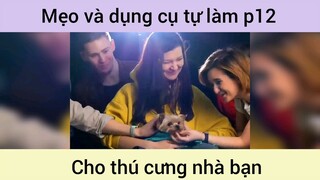 Mẹo và dụng cụ tự làm cho thú cưng p12