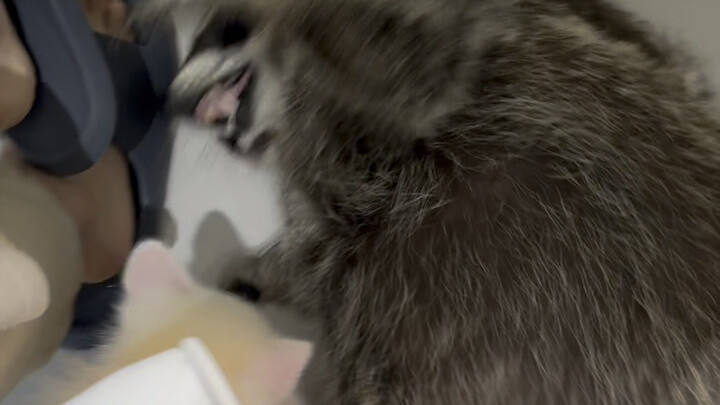 Raising kids is no joke!