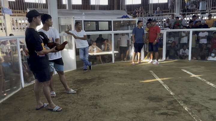 2nd fight sobrang stress 3 cock ulutan