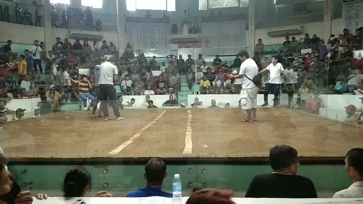 pangalawang.laban sa sabungan loss.