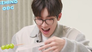 【SVT_ZER·0】SEVENTEEN 文俊辉JUN 全圆佑 ODG BEHIND 零站中字