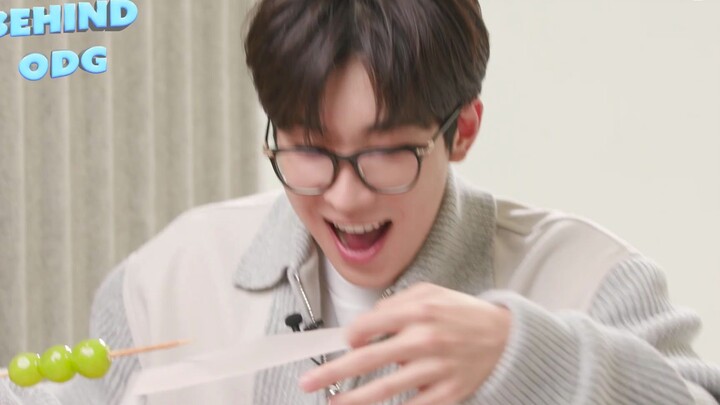 【SVT_ZER·0】SEVENTEEN 文俊辉JUN 全圆佑 ODG BEHIND 零站中字