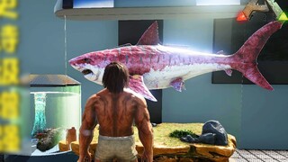 Ark Survival Evolved: The new version of Megalodon regains its dominance in the ocean!