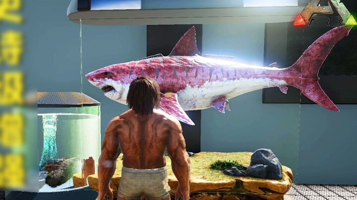 Ark Survival Evolved: Phiên bản mới của Megalodon đã giành lại quyền thống trị đại dương!