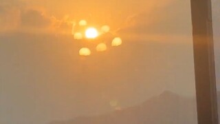 سأعرّفك على 23 نوعًا من العجائب، فأي منها رأيته؟