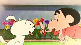 “小白也是家人！他叫野原小白！”