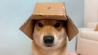 Baka