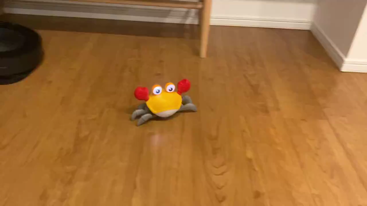 岛国网友表示，被老妈送的圣诞礼物（中国产）笑死了，爆音高速移动螃蟹！🦀PDD上23元可以买，确认是同款：电动自动感应螃蟹男女孩婴...twi:めえ…