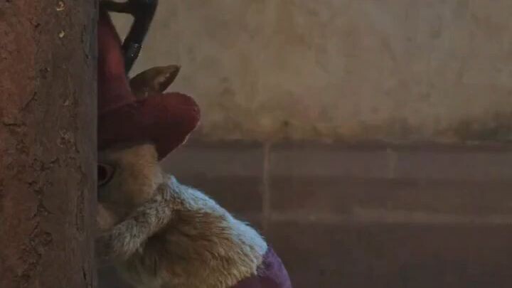 #Onepiece Live Action