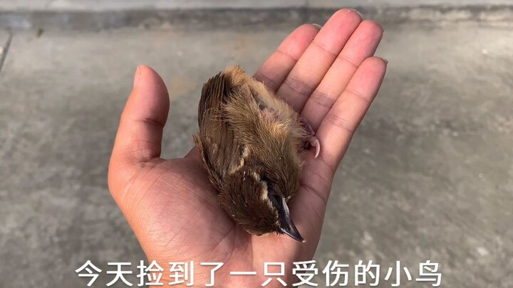 Gặp được nhau đã là duyên phận, hy vọng bạn cố gắng sống tiếp, tương lai sẽ rất tươi đẹp.