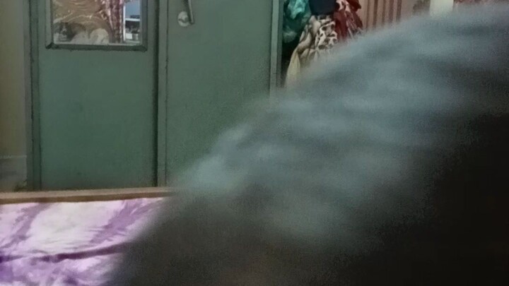 আয়াত