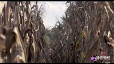 Dark Night of the Scarecrow (2022)