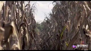 Dark Night of the Scarecrow (2022)