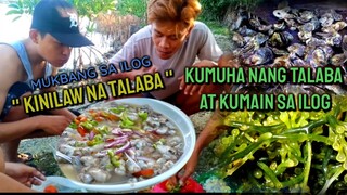 TALABA MUKBANG SA ILOG ( MUKBANG TALABA & SEAWEEDS )