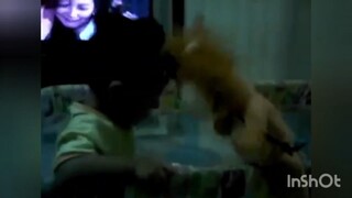 รีวิวของเล่นตุ๊กตาสิงโต ในเตียงนอน ที่บ้าน | Play TV