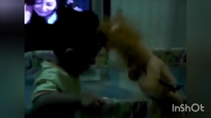 รีวิวของเล่นตุ๊กตาสิงโต ในเตียงนอน ที่บ้าน | Play TV