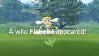 You must be extremely lucky to encounter a White Flabebe