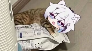 Honkai Impact 3 mourning pictures (33)