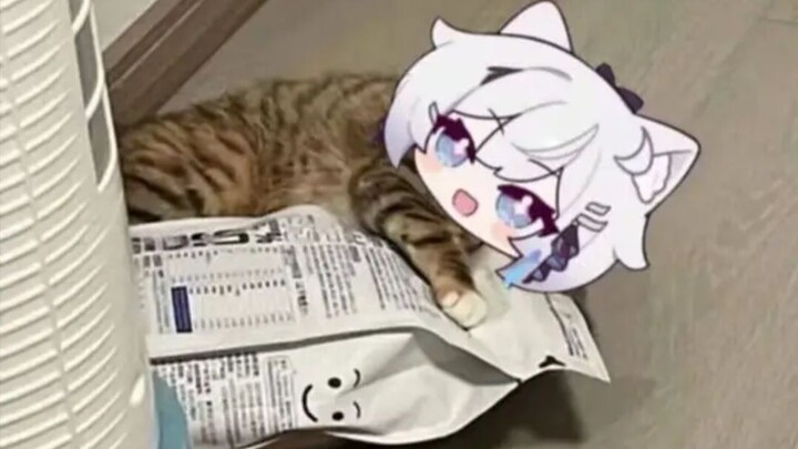 Honkai Impact 3 mourning pictures (33)