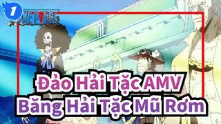 [Đảo Hải Tặc AMV] Băng Hải Tặc Mũ Rơm - Kizuna_1