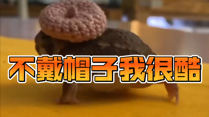 I’m cool without a hat.