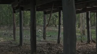 นากรักมาก ม๊ากมาก - Trailer
