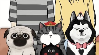 The eye value when taking a group photo... [My Royal Cat]