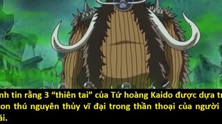 Bộ 3 _thiên tai_ của Kaido sẽ là ai p6