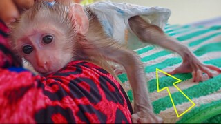 The Crab Boy! Wow, Tiny adorable Luca feels so comfy when Mom gently massage, His Action Like A Crab