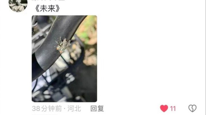 Harsh critiques of photos in the comments section—so awesome! He’s a biologist; humanity is saved!